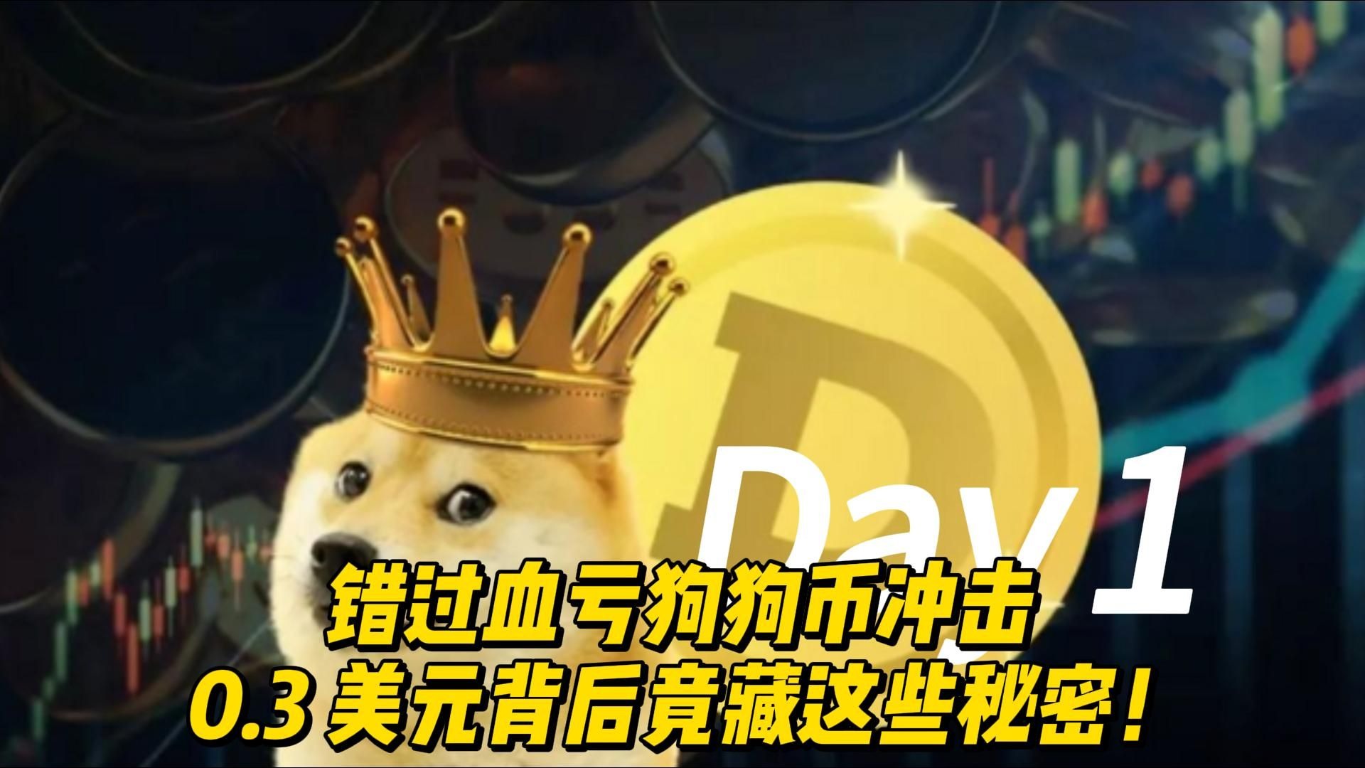 狗狗币投资骗局被揭发，已有超16.46人被骗！